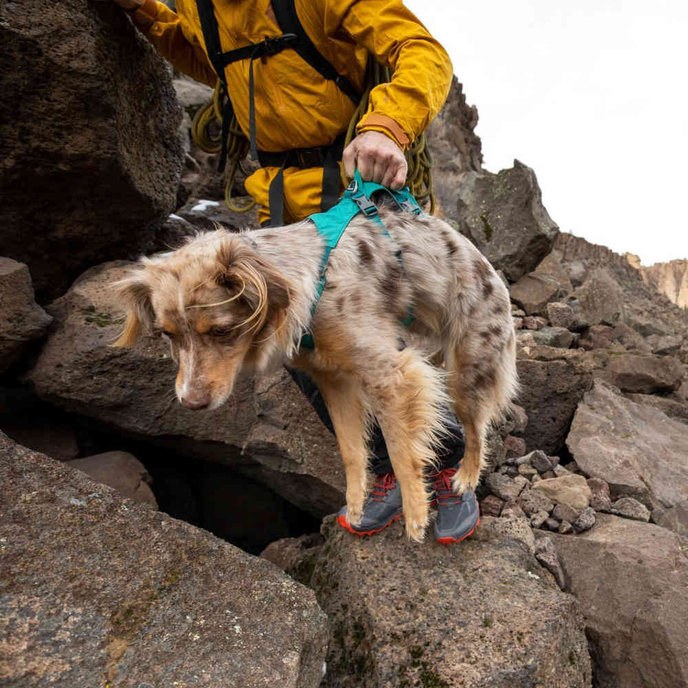 Ruffwear Flagline Lightweight No-Pull Handled Dog Harness (Red Rock) - Kohepets