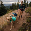 Ruffwear Front Range Day Pack No-Pull Handled Dog Harness (Aurora Teal) - Kohepets