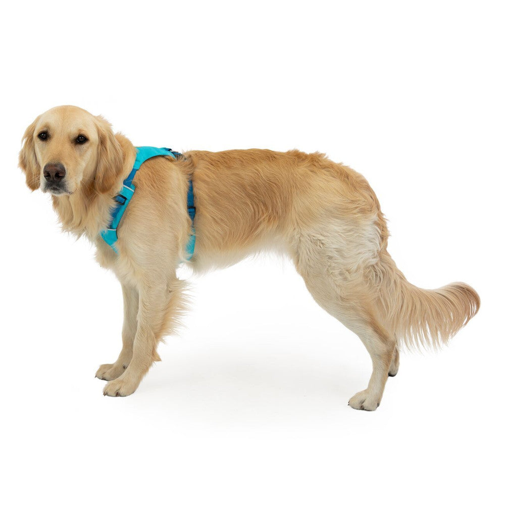 Ruffwear Hi & Light Lightweight Low-Profile Dog Harness (Alpenglow