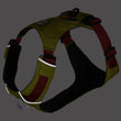 KOHE-VERSARY 10% OFF: Ruffwear Hi & Light Lightweight Low-Profile Dog Harness (Lichen Green)