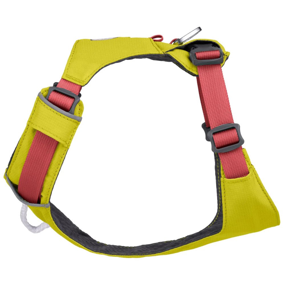 KOHE-VERSARY 10% OFF: Ruffwear Hi & Light Lightweight Low-Profile Dog Harness (Lichen Green)