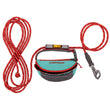 Ruffwear Hitch Hiker Portable Hitch & Dog Leash Pack (Aurora Teal)