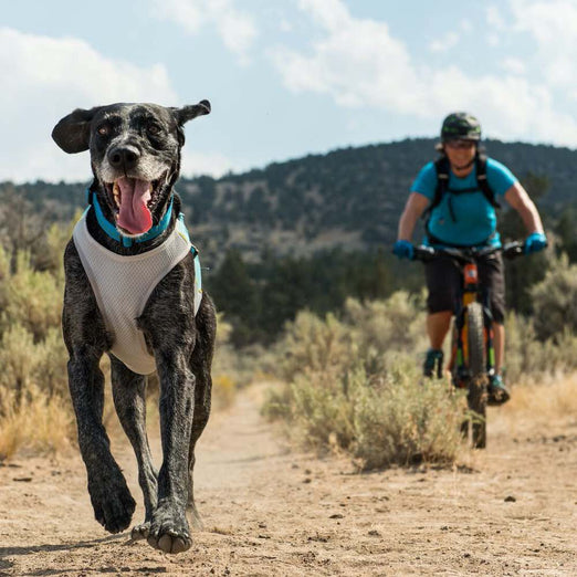 Ruffwear Jet Stream Lightweight Cooling Dog Vest (Blue Lagoon) Kohepets