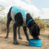 Ruffwear Jet Stream Lightweight Cooling Dog Vest (Blue Lagoon) - Kohepets