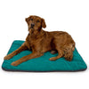 Ruffwear Mt. Bachelor Pad Portable Dog Bed - Kohepets