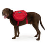 Ruffwear Palisades Multi-Day Hydration Pack Removable Handled Dog Harness - Kohepets