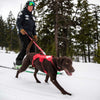 Ruffwear Patroller Reflective Adjustable Belt Dog Leash - Kohepets