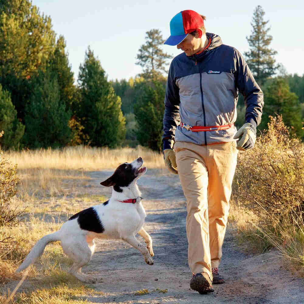 Ruffwear Patroller Reflective Adjustable Belt Dog Leash - Kohepets