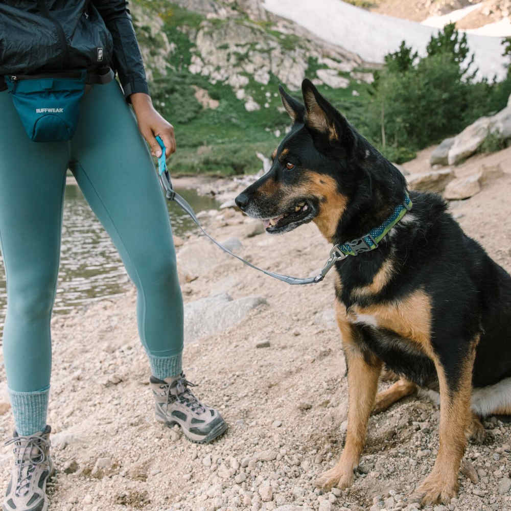 Ruffwear Quick Draw Reflective Adjustable Collar Dog Leash - Kohepets