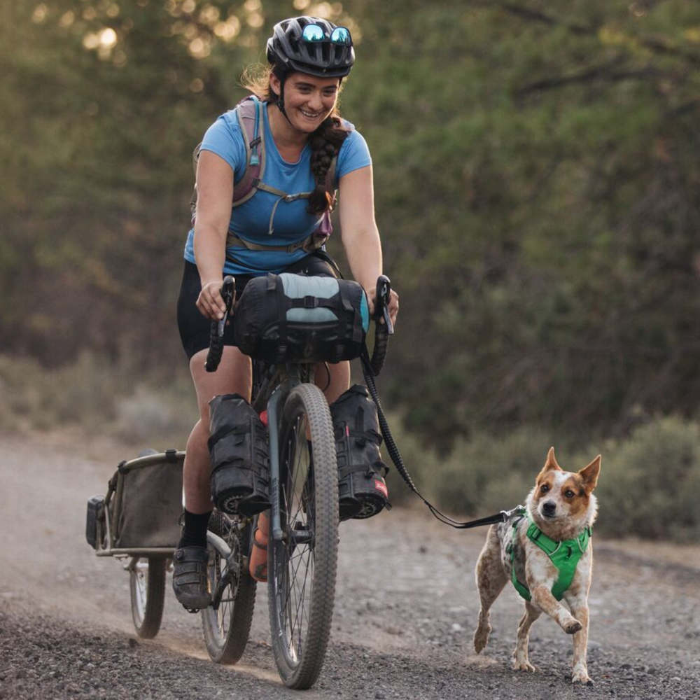 Ruffwear Roamer Multi-Function Bungee Dog Leash (Granite Gray) - Kohepets