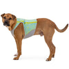 Ruffwear Swamp Cooler Zip Lightweight Cooling Dog Vest (Blue Mist)