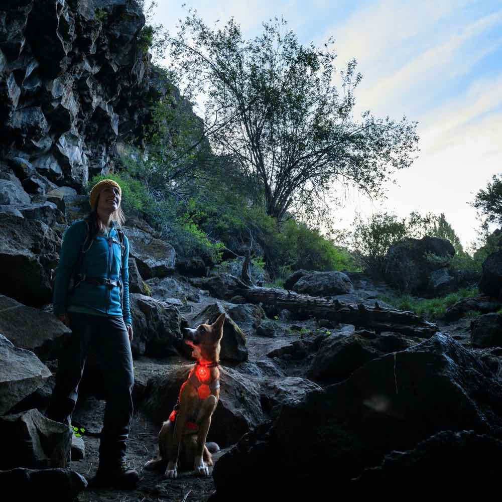 Ruffwear The Beacon Waterproof LED Safety Dog Collar Light - Kohepets