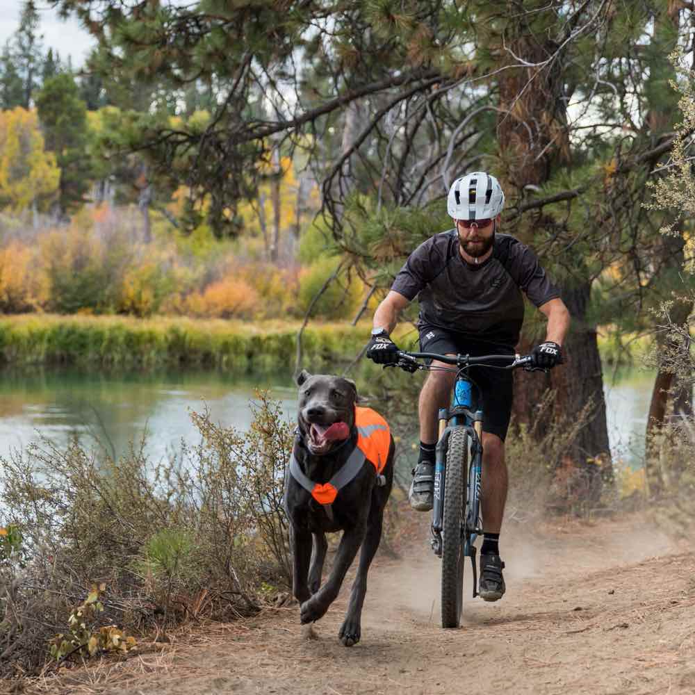 Ruffwear Track Jacket Reflective Safety Dog Vest - Kohepets