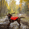 Ruffwear Track Jacket Reflective Safety Dog Vest - Kohepets