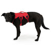 Ruffwear Web Master Secure Multi-Function Handled Dog Harness (Red Currant) - Kohepets
