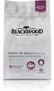 Blackwood Sensitive Skin & Stomach Salmon Meal & Rice Dry Dog Food