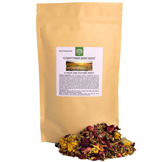 Small Pet Select Flower Power Berry Boost Herbal Blend Small Animal Treats 2.5oz - Kohepets