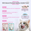 Snack Time Snack Time 100% Natural Healthy Puree Cat Treats Salmon 50g