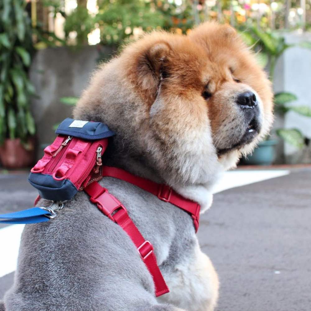 Sputnik Clean Bag Multi-Function Dog Poop Bag Dispenser (Yellow) - Kohepets