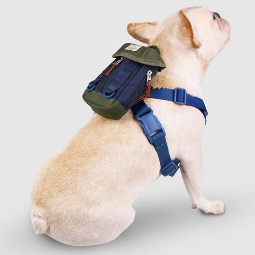 Sputnik Clean Bag Multi-Function Dog Poop Bag Dispenser (Blue) - Kohepets