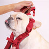Sputnik Comfort Dog Harness (Green) - Kohepets