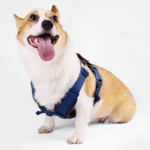 $5 OFF: Sputnik Comfort Dog Harness + Multifunctional Leash Set (Green) - Kohepets
