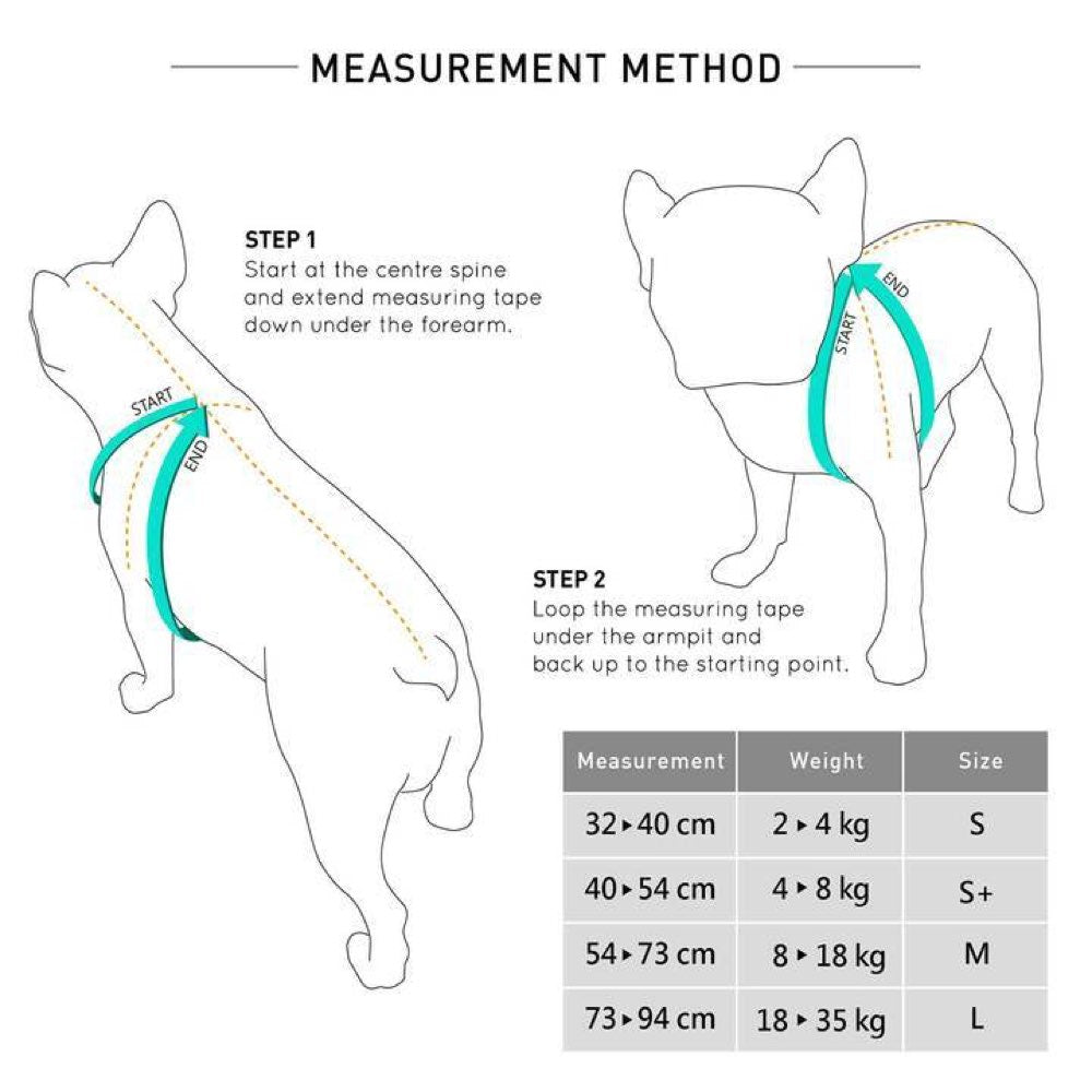 Sputnik Comfort Dog Harness (Green) - Kohepets