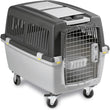 Stefanplast Gulliver 4 IATA Pet Carrier - Kohepets