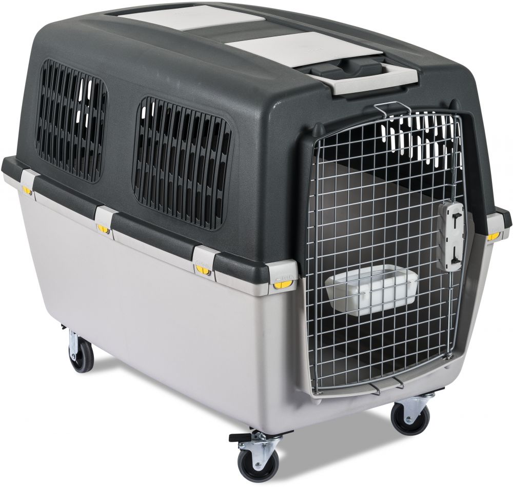 Stefanplast Gulliver 6 IATA Pet Carrier - Kohepets