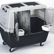Stefanplast Gulliver Touring IATA Pet Carrier - Kohepets