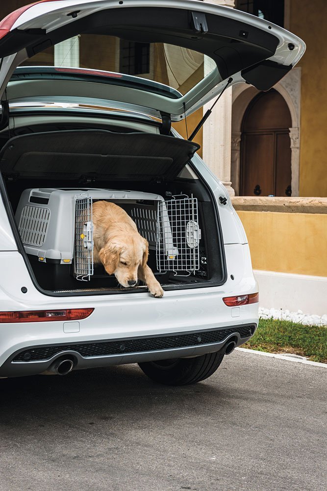 Stefanplast Gulliver Touring IATA Pet Carrier - Kohepets