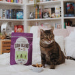 Stella & Chewy’s Freeze-Dried Raw Blend Kibble Chicken Grain-Free Dry Cat Food - Kohepets