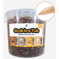 SuperGrubs Dried Phoenix Worms Small Pet Food 400g - Kohepets