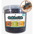 SuperGrubs Freeze-Dried Crickets Small Pet Food 400g - Kohepets