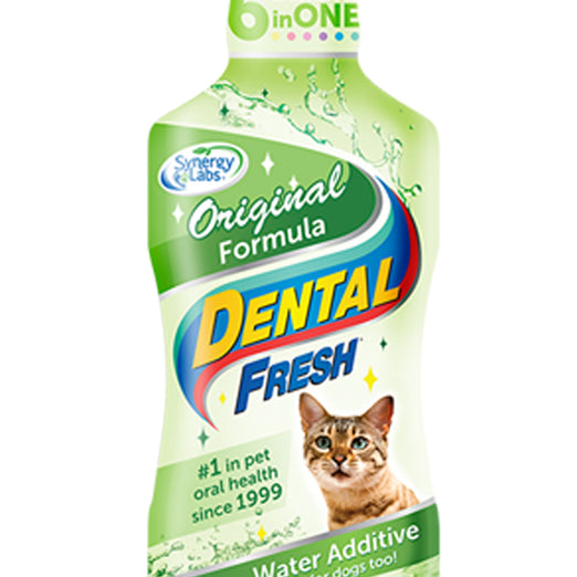 Synergy Labs Dental Fresh Cat Kohepets
