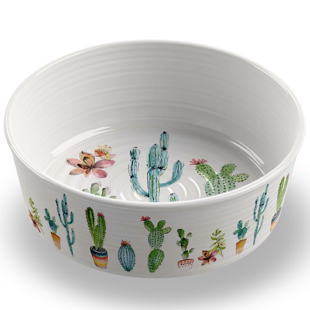 TarHong Cactus Dog Bowl