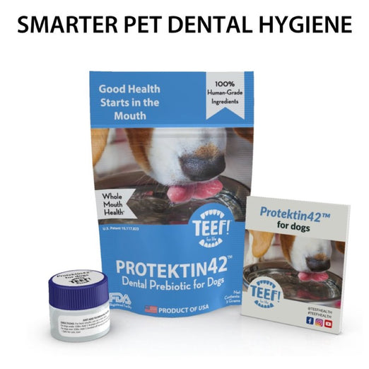 20% OFF: Teef! Protektin42 Dental Prebiotic for Dogs - Kohepets