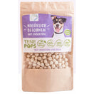 TenePops Insects & Rice Dog Treats 65g