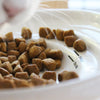 The Cat Tongue Ceramic Feeding Bowl - Kohepets