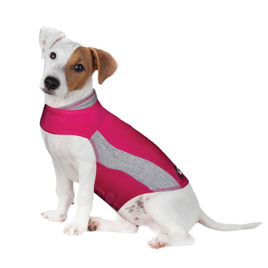 ThunderShirt Anxiety Relief For Dogs - Pink - Kohepets