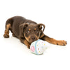 FuzzYard Froyo Plush Dog Toy (discontinued) - Kohepets