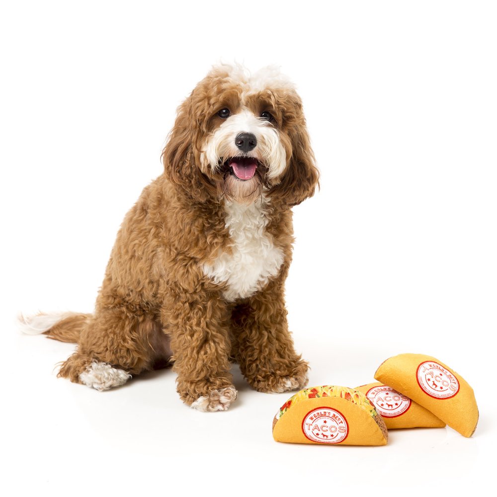 FuzzYard Taco Plush Dog Toy - Kohepets