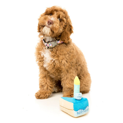 FuzzYard Birthday Cake Plush Dog Toy - Kohepets