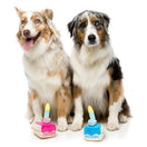 FuzzYard Birthday Cake Plush Dog Toy