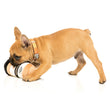 FuzzYard Puppucino Plush Dog Toy (discontinued) - Kohepets