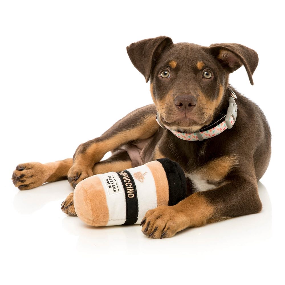 FuzzYard Puppucino Plush Dog Toy (discontinued) - Kohepets