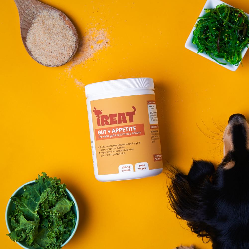 Treat Therapeutics Gut + Appetite Digestive Dog Supplement 300g Kohepets