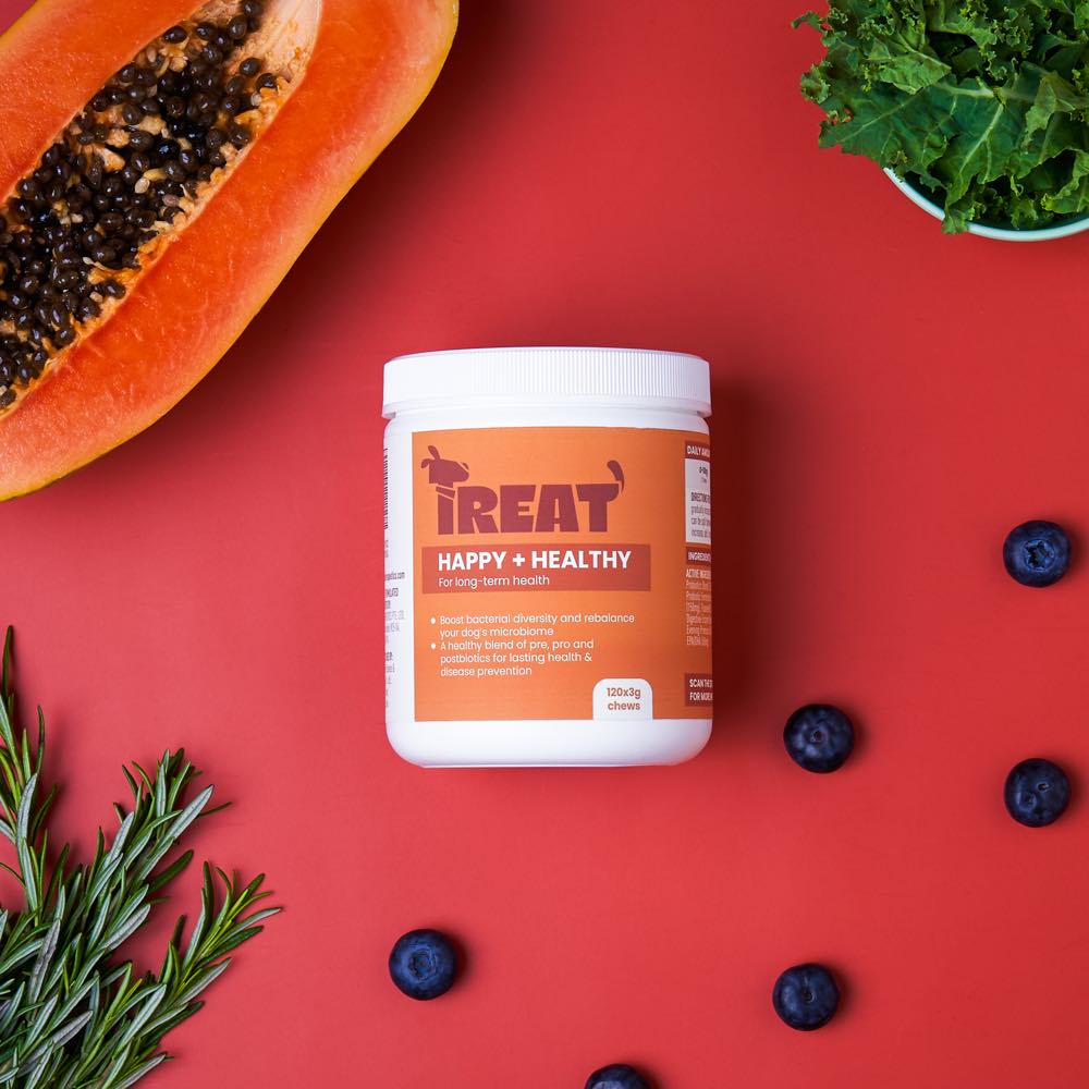 Treat Therapeutics Happy + Healthy Dog Supplement 360g Kohepets