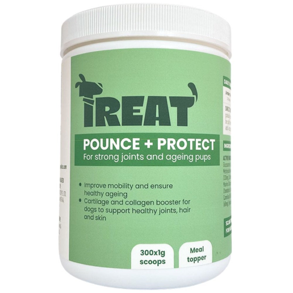 Treat Therapeutics Pounce + Protect Joint Dog Supplement 300g | Kohepets