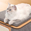 Vesper Cubo Cat Cube - Kohepets
